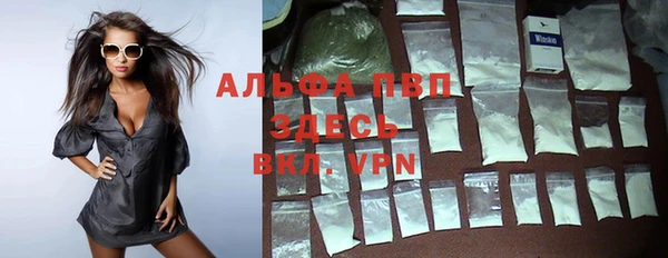 стаф Дмитров