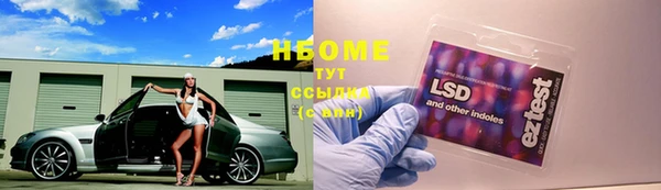 Альфа ПВП Белокуриха