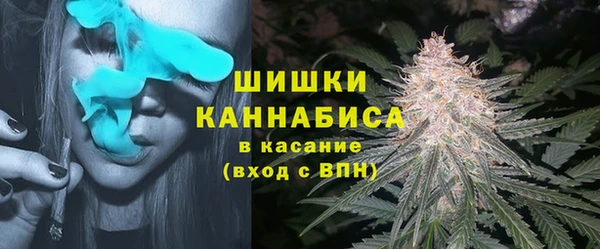 Альфа ПВП Белокуриха